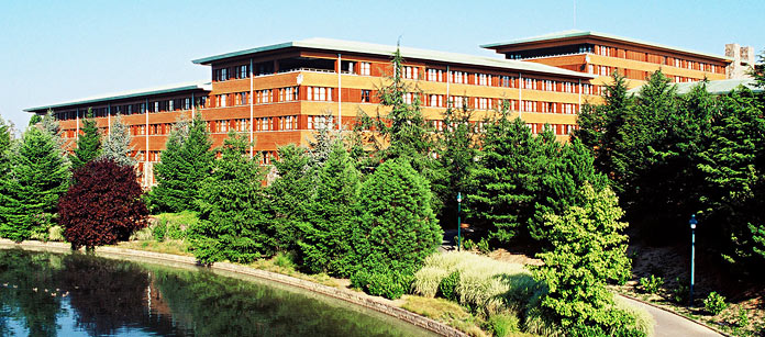 Hotel Disney´s Sequoia Lodge® – bestil det hos Spies.