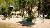 Hotel Corali Beach – bestil nemt og bekvemt hos Spies