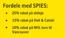 Fordele med Spies