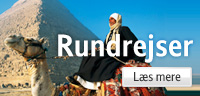 Rundrejser