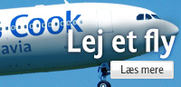 Lej et fly