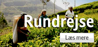 Rundrejser