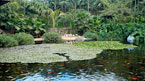 Loro Parque med transport